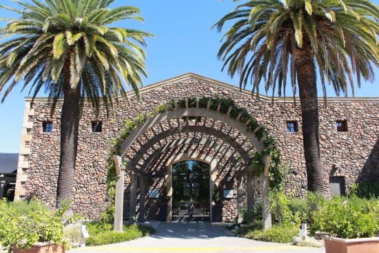 Black Stallion Winery